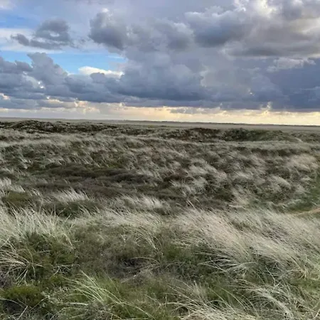 Luxury Retreat With Sauna - By Traum